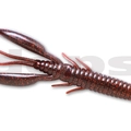 #41 Clarkii