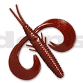 #41 Clarkii