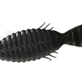 #06 Black
