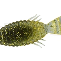 #22 Golden Shiner