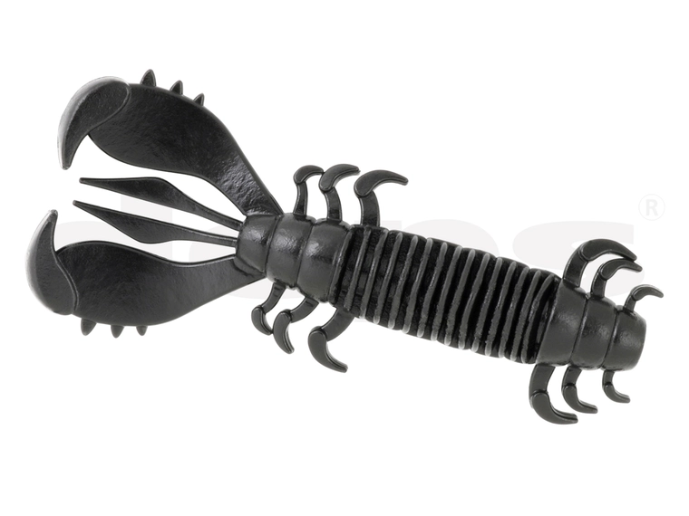 Deps MS Craw