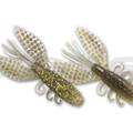 #22 Golden Shiner