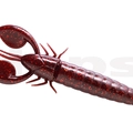 #41 Clarkii