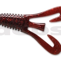 #41 Clarkii