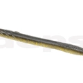#22 Golden Shiner