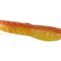 #19 Dead Shad