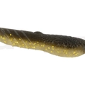 #22 Golden Shiner