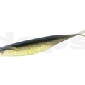 #22 Golden Shiner