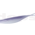 #147 Purple Shad