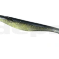 #22 Golden Shiner