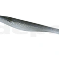 #92 Silver Shiner