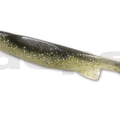 #22 Golden Shiner
