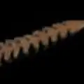 #07 Green Pumpkin