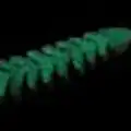 #09 Watermelon