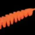 #10 Orange