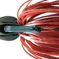 #27 Scuppernong