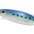 Sardine