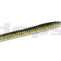 #22 Golden Shiner