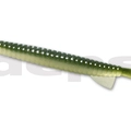#26 Clear Watermelon
