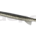 #92 Silver Shiner