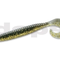 #22 Golden Shiner