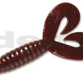 #41 Clarkii