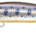 OY