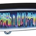WBS