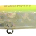 LCR