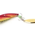 SGR
