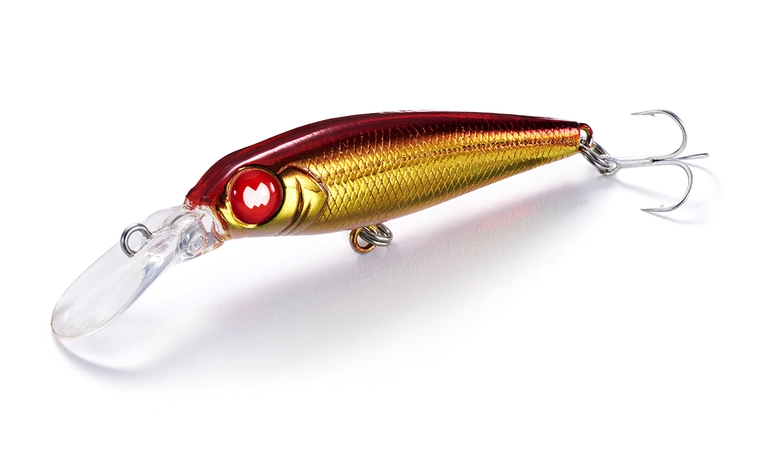 Jackson PY Shad