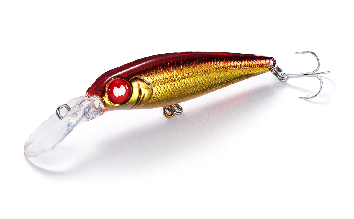 Jackson PY Shad