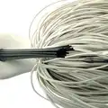 #10 White