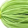 #11 Chartreuse