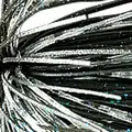 #37 Scale Black