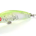 LMS