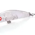 SIR