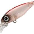09 Chibi Ika