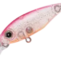 22 Pink Orange