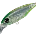 28 Green Head CHT