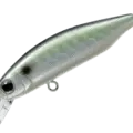 55 Inakko