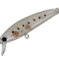 08 CS Shirasu