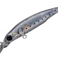 20 CS Shirasu