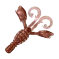 06 Brown Shrimp