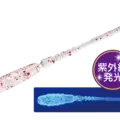06 Keimura Clear R