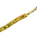 N10 Pumpkin/Green Glitter