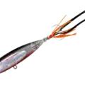 18 Katakuchi Shell