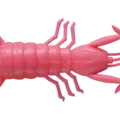 09 Pink/Orange