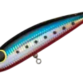 03 Black Red Belly Iwashi