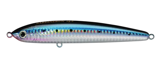 Smith Sardine Run